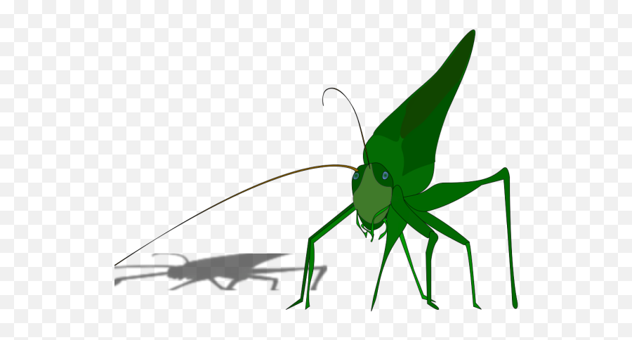 Grasshopper Locust Png Svg Clip Art - Grasshopper Clipart Emoji,Grasshopper Emoji
