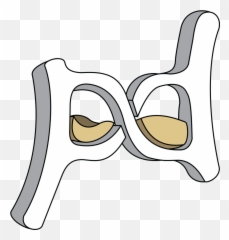 Progress Daily 3d Logo Clipart - Full Size Clipart 3922445 For Adult Emoji,Wu Tang Emoji