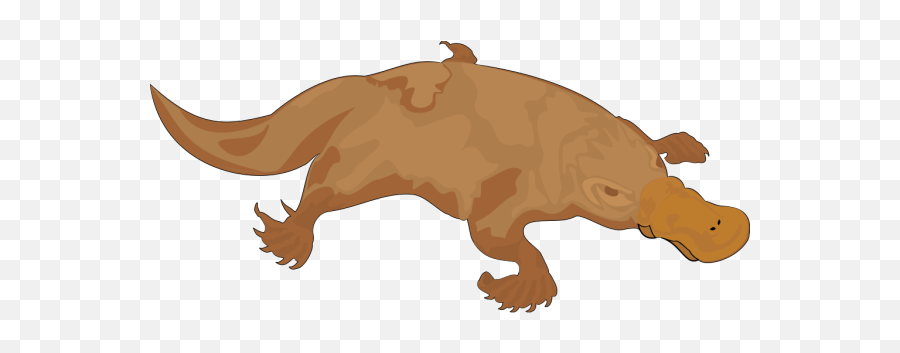 Brown Platypus Png Svg Clip Art For - Animals That Lay Eg3gs Emoji,Platypus Emoji