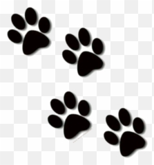 Lion Paw Print Clipart Kid 2 - Bulldog Paw Print Clipart Emoji,Paw Print Emoji