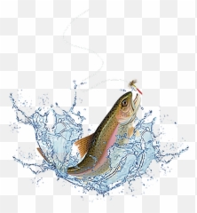Fish Sealife Terrieasterly Sticker - Live Bait Emoji,Fish Hook Emoji