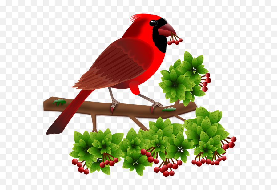 Cardinal Birds Animals - Cardinal Bird Png Emoji,Cardinal Bird Emoji