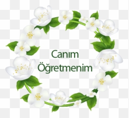 Index Of - Jasmine Emoji,Nazar Boncugu Emoji