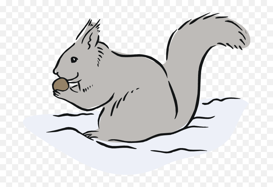 Eastern Gray Squirrel Clipart - Grey Squirrel Clipart Png Emoji,Squirrel Emoji Android