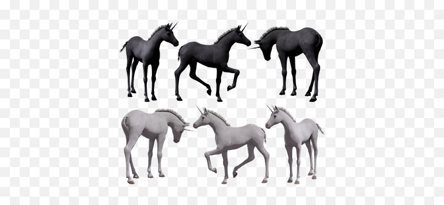10 Free Prance U0026 Horse Illustrations - Pixabay Unicorn Myth Legends Emoji,Horse Emoji Png