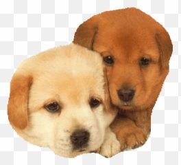 Dog Love Sticker - Family Cute Emoji