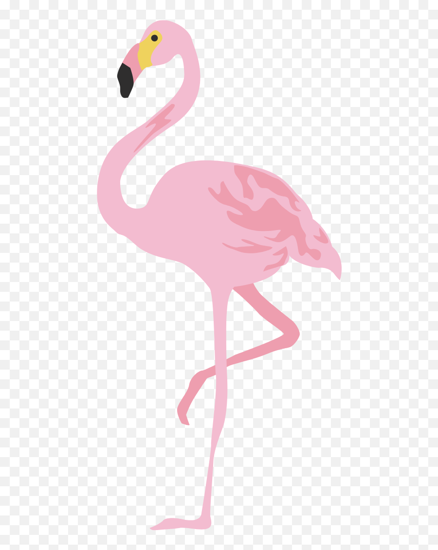 Free Flamingo Cartoon Transparent Background Overlays Free - Greater Flamingo Emoji,Flamingo Emoji Iphone
