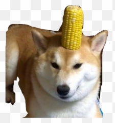 Doge Corndog Dog Cornfreetoedit - Corn Doggo Emoji,Corn Dog Emoji