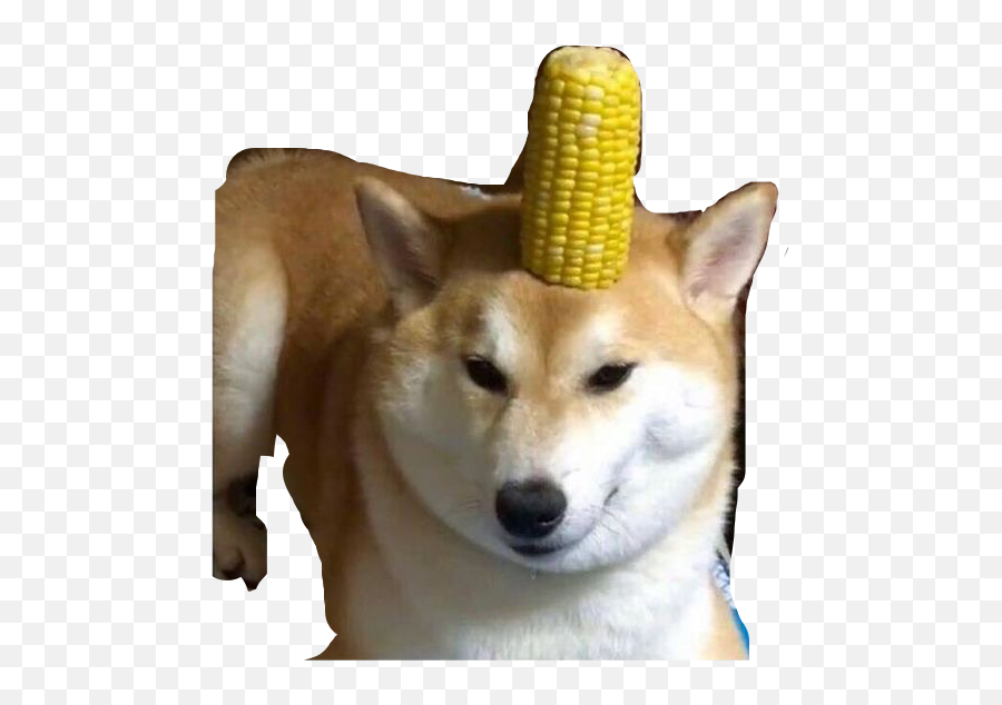Doge Corndog Dog Cornfreetoedit - Corn Doggo Emoji,Corn Dog Emoji