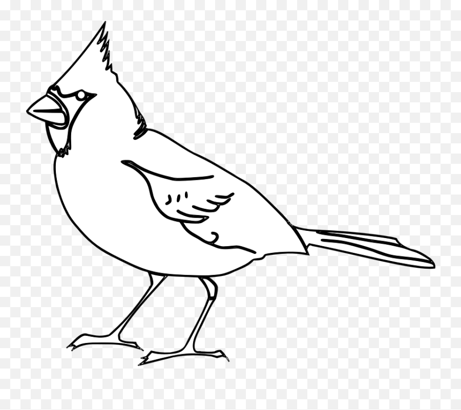 Bird Cardinal Songbird - 2 Cardinal Bird Clip Art Emoji,Cardinal Bird Emoji