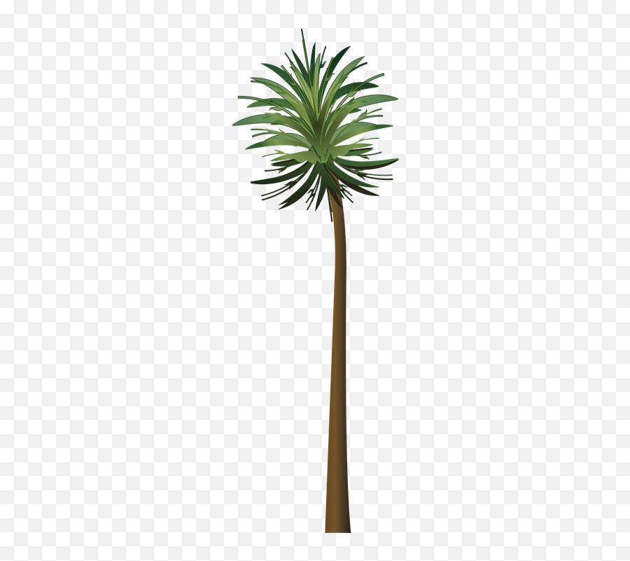 Palm Tree Wood Paper - Tree Emoji,Palm Tree Book Emoji