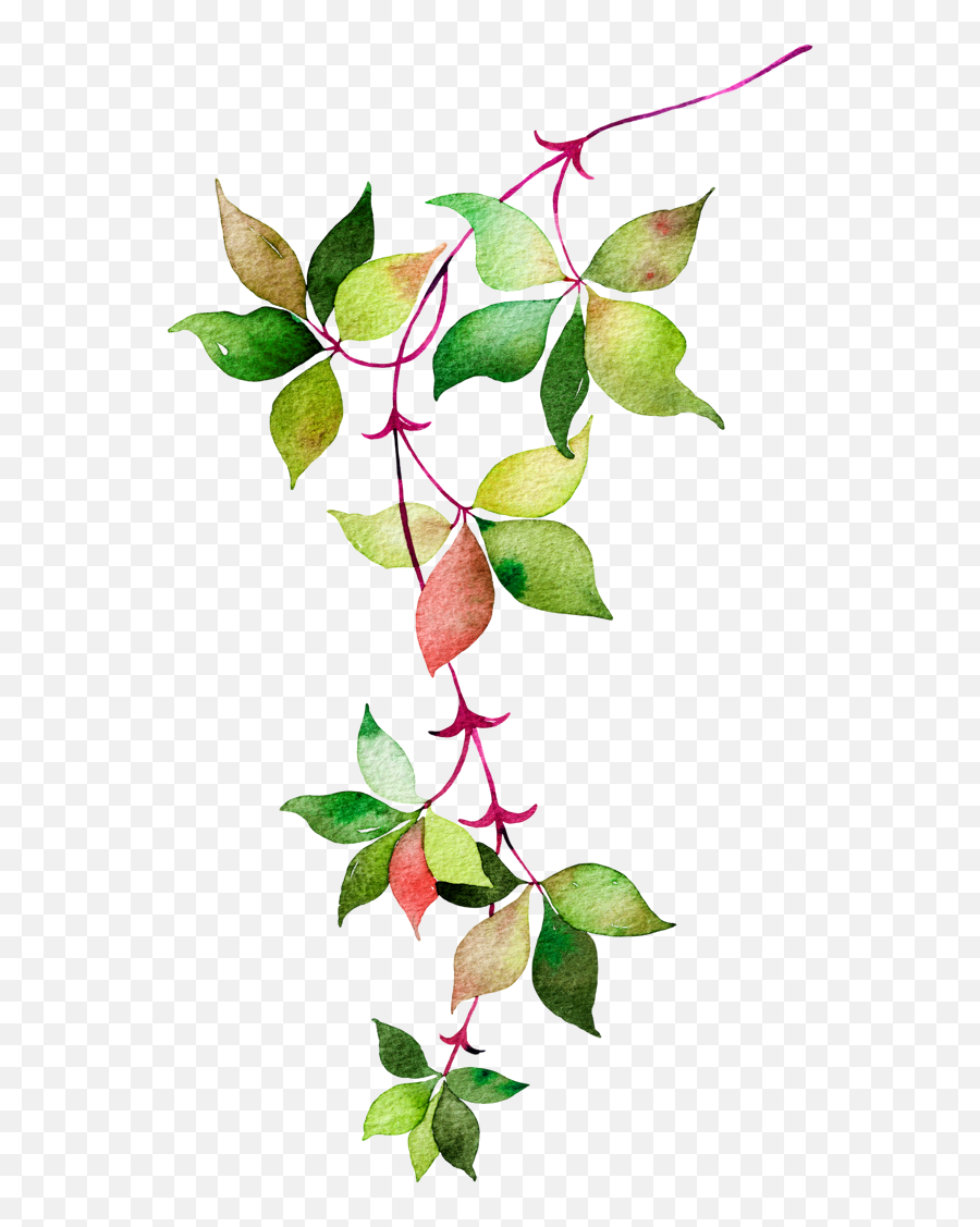 Flower Euclidean Icon Watercolor Leaves - Leaves And Flowers Vector Png Emoji,Leaves Emoji
