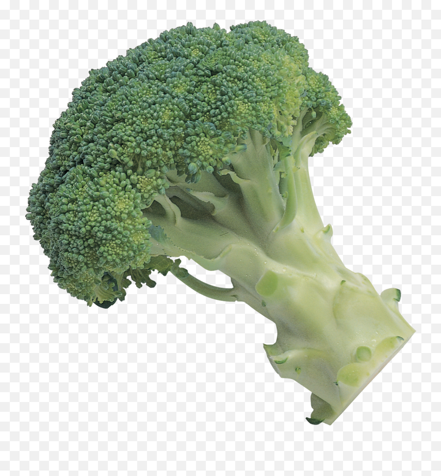 7 Broccoli - Broccoli Vegetables Transparent Background Emoji,Broccoli Emoji