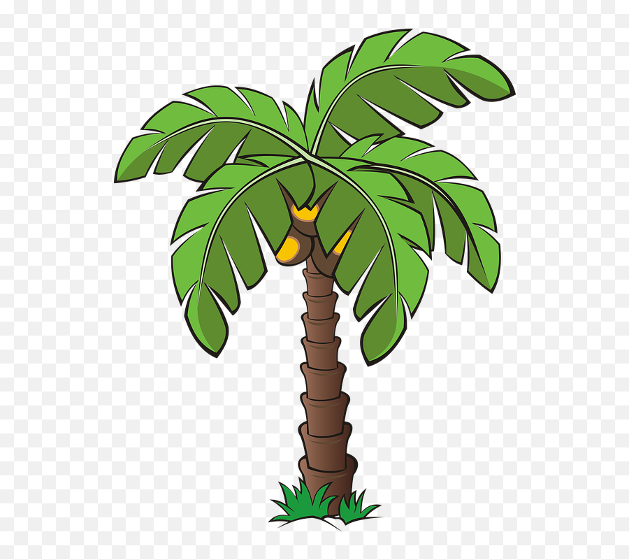 Tree Trees Palm - Palm Tree Clipart Emoji,Palm Tree Emoticon
