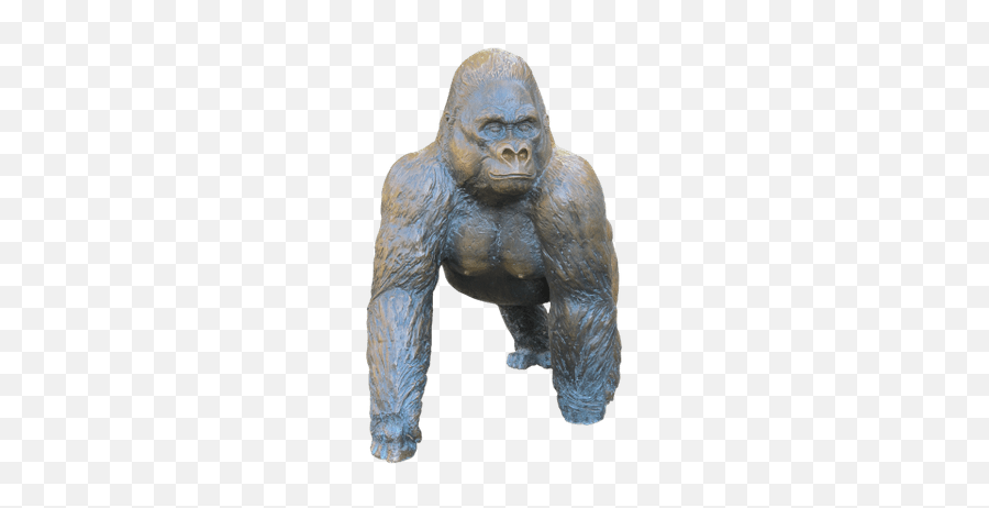 Search Results For Gorilles Png Hereu0027s A Great List Of - Saint Louis Zoo Emoji,Ape Emoji
