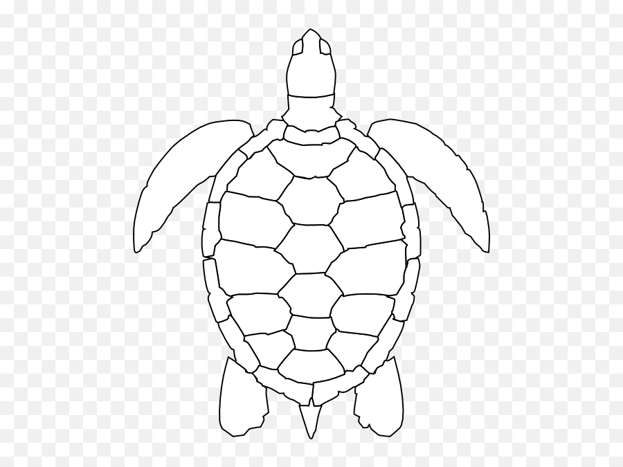 Drawing Oval Sea Turtle Transparent U0026 Png Clipart Free - Outline Clipart Turtle Emoji,Sea Turtle Emoji
