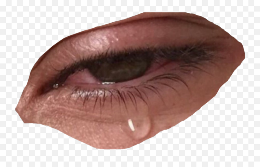 Crying Crybaby Cryingeye Cryingpng Cry Mood Moody Emo - Crying Eyes Png Meme Emoji,Teary Eye Emoji