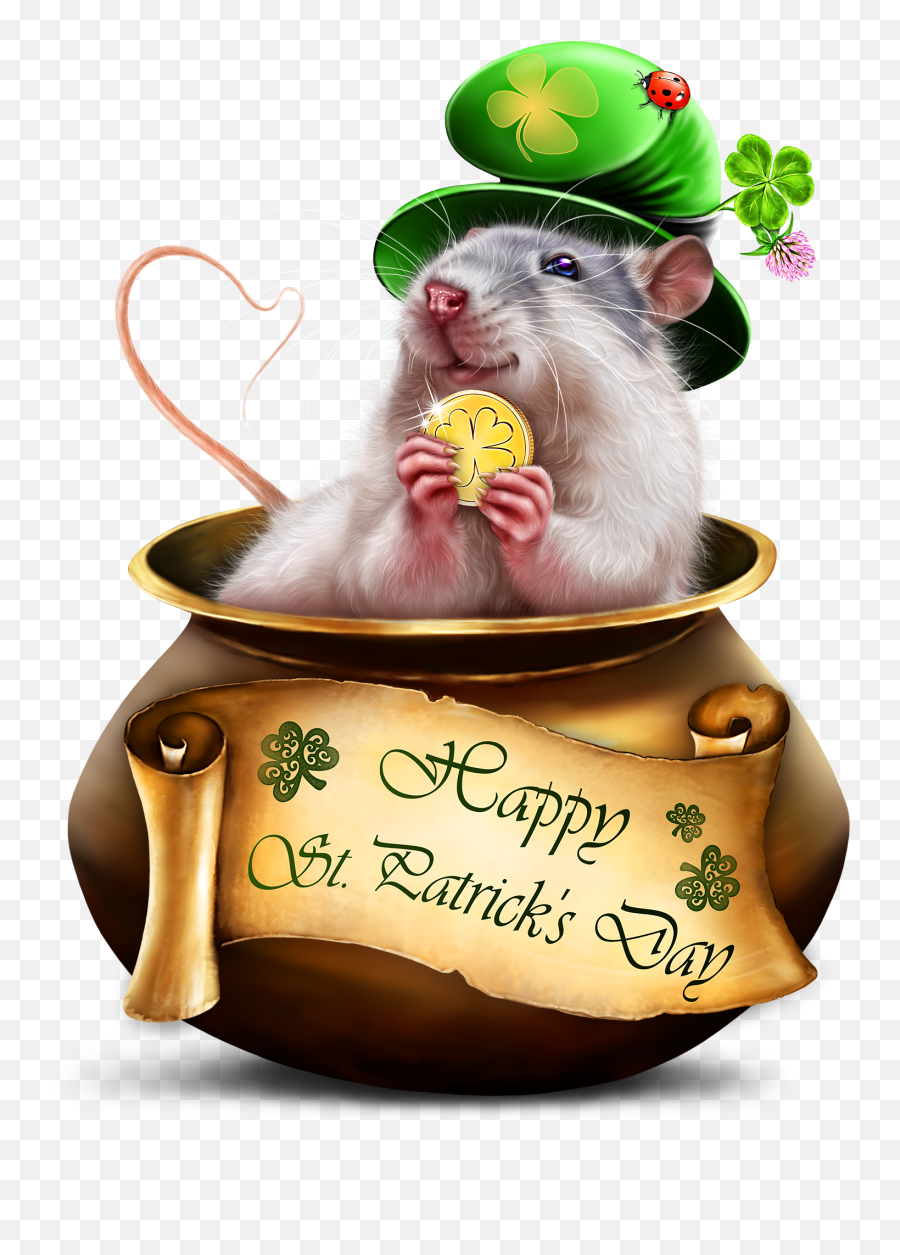 Pin By Lynn On St Patricku0027s Day Animals Novelty - Rat Emoji,Mouse Rabbit Hamster Emoji