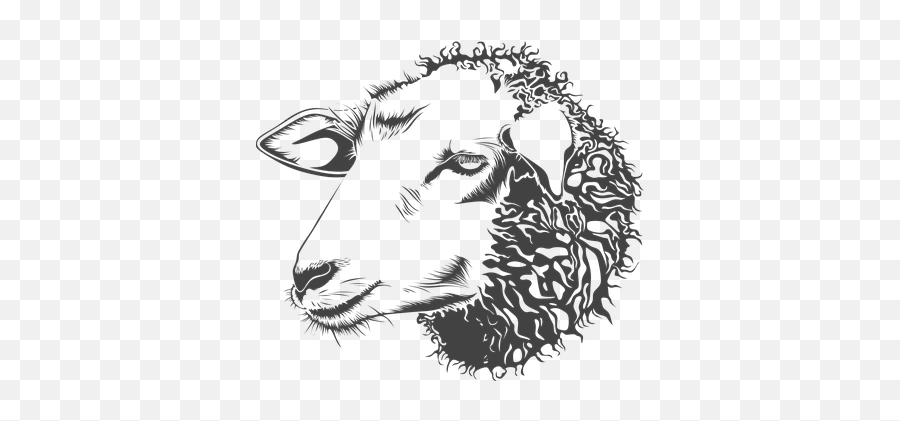 300 Free Sheep U0026 Lamb Illustrations - Pixabay Sheep Head Png Emoji,Ewe Emoticon