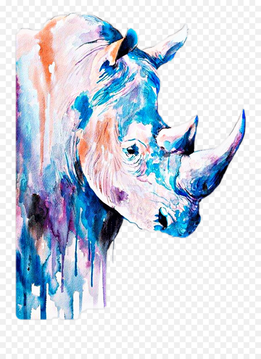 Rhino Sticker Challenge - Rhino Watercolor Painting Emoji,Rhino Emoji