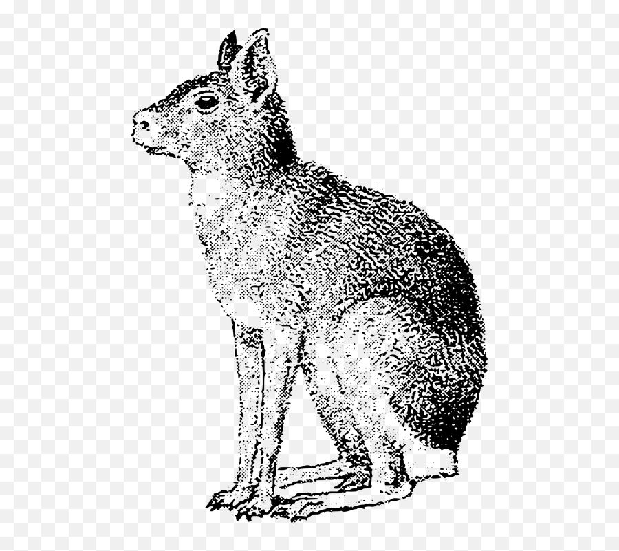 Free Hare Rabbit Vectors - Patagonia Zwierzta Emoji,Easter Bunny Emoticon