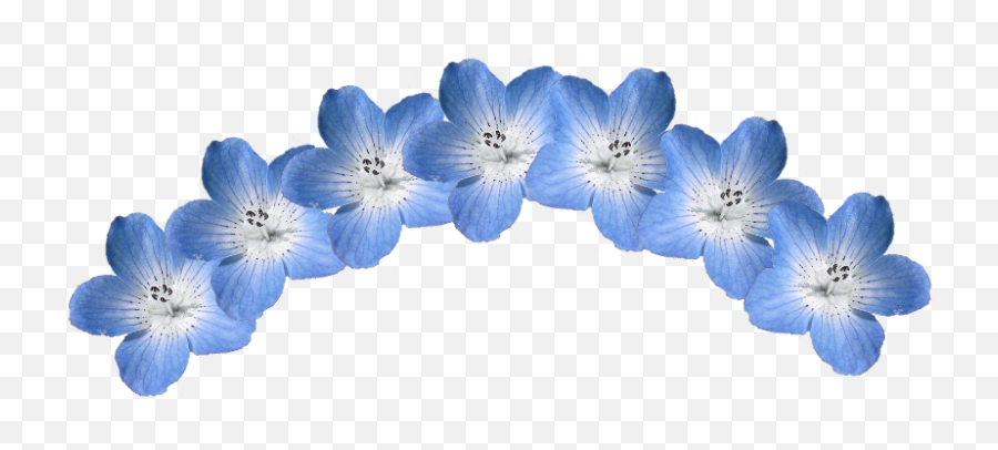 Blue Flower Crown Png Transparent Png Png Collections At - Blue Floral Crowns Png Emoji,Flower Crown Emoji