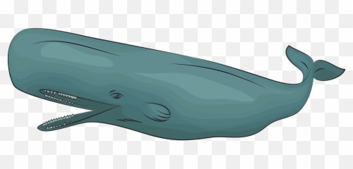 Sperm Whale Clipart - Wholphin Emoji
