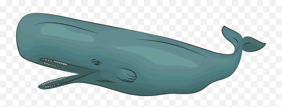 Sperm Whale Clipart - Wholphin Emoji,Emoji Free Whale
