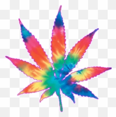 Tumblr Weed Backgrounds posted by Sarah Walker - Leaf Transparent Emoji