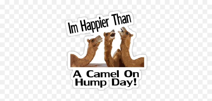 Hump Transparent Png Clipart Free - Arabian Camel Emoji,Hump Day Emoji