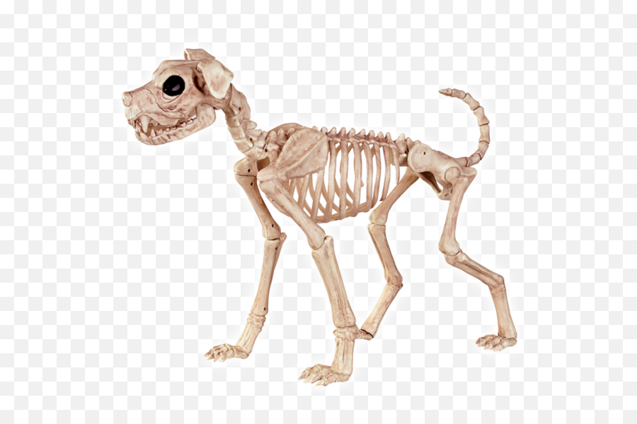 Animal Skeleton Transparent Png Dog Skeleton Emoji Turtle Skull Emoji Free Transparent Emoji Emojipng Com - puppy of the week skeleton puppy roblox