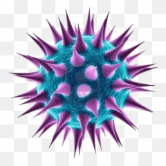 Bacteria Png Transparent Images - Sunny Side Of The Street Josh Woodward Emoji