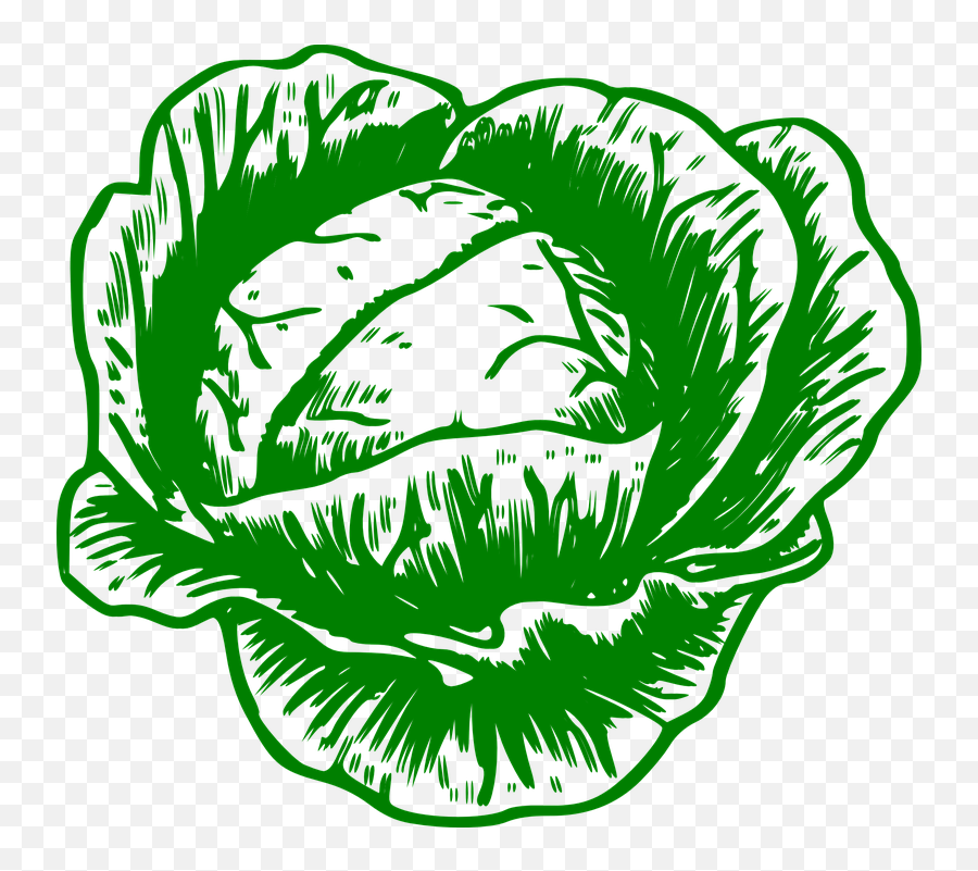 Cabbage Cauliflower Vegetable - Cabbage Drawing Black And White Emoji,Garlic Bread Emoji