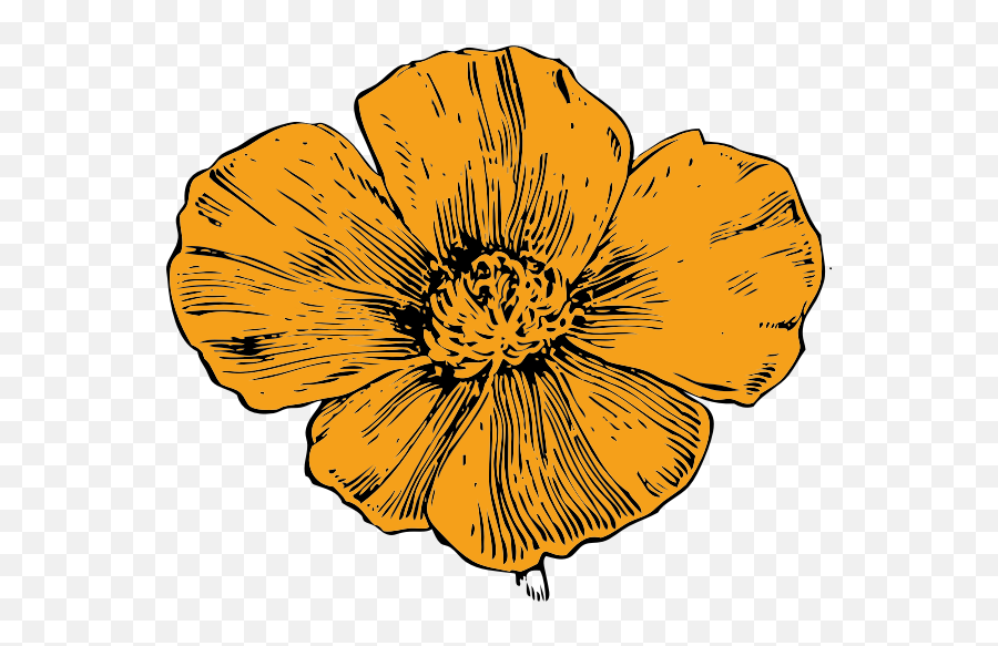 California Poppy - Drawing California Poppy Emoji,Cali Flag Emoji