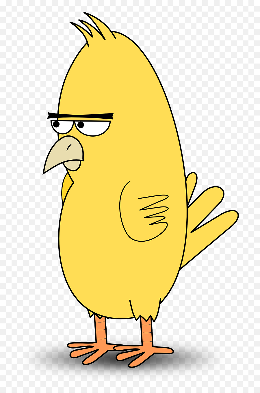 Bird Angry Animal Angry Bird Mad - Png Chicken Cartoon Emoji,Angry Emoji