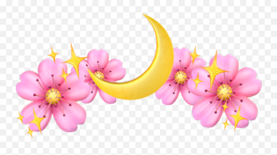 Emoji Crown Flowercrown Flowercrownstickers Stickers - Stars And Flowers Pink,Flower Crown Emoji
