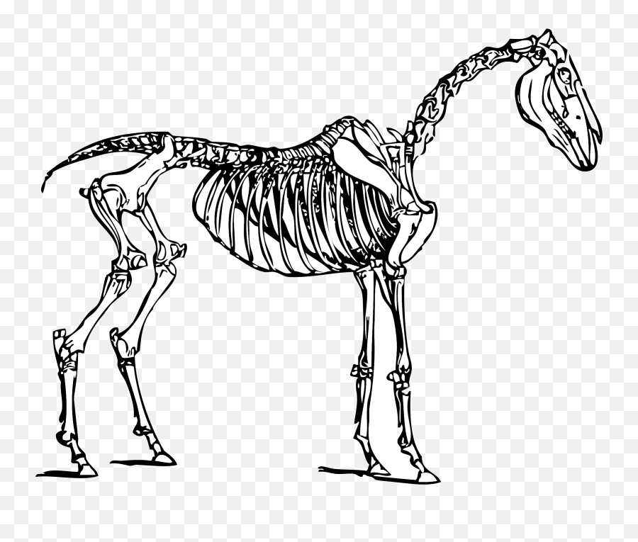 Ghost Clipart Skeleton Ghost Skeleton - Horse Skeleton Clipart Emoji,Koala Emoji Snapchat