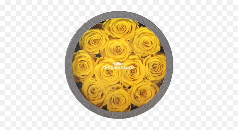 Yellow Preserved Roses - Persian Buttercup Emoji,Roses Emoticon