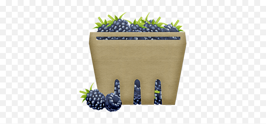 Raspberries Raspberry Illustrations - Blueberry Emoji,Blueberry Emoji