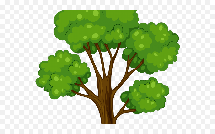 Papaya Clipart Papaya Leaf - Tree Cartoon Vector Png Cartoon Tree Png Emoji,Papaya Emoji