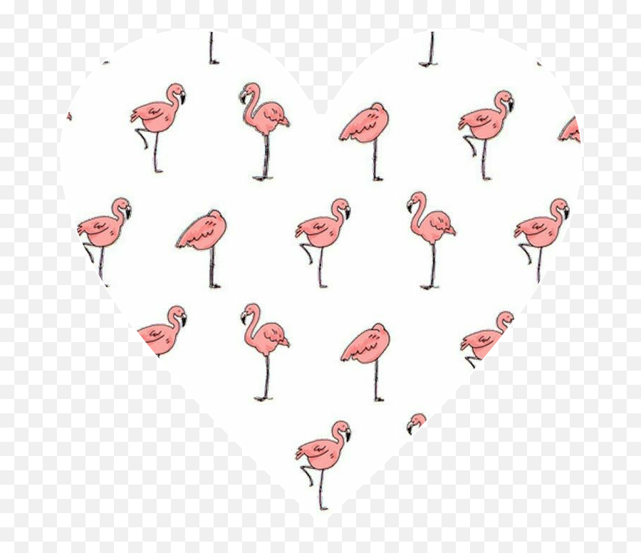 Fenicottero Herat Sticker By Ilaria Murolo - Greater Flamingo Emoji,Herat Emoji