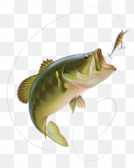 Largest Collection Of Free - Toedit Fishing Rod Stickers Cartoon Largemouth Bass Bass Fish Emoji,Fish Hook Emoji