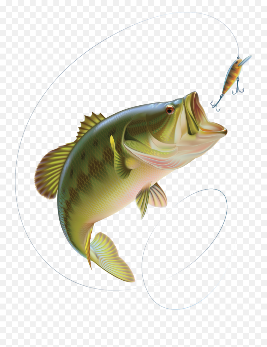 Largest Collection Of Free - Toedit Fishing Rod Stickers Cartoon Largemouth Bass Bass Fish Emoji,Fish Hook Emoji