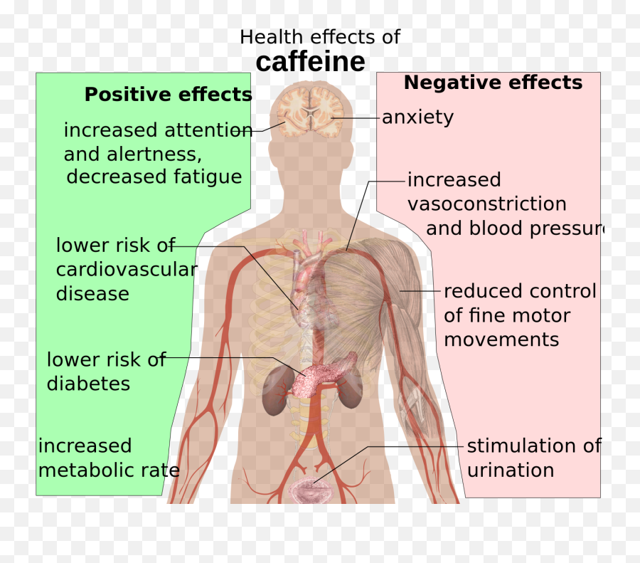 Health Effects Of Caffeine - Caffeine Effects Emoji,Sleeping Emoji Copy And Paste