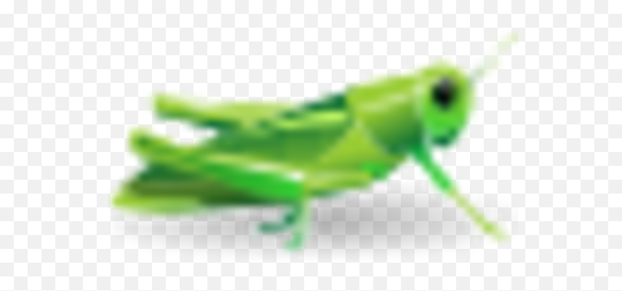 Cricket Clipart Insect Grasshopper - Grasshopper Icon Emoji,Crickets Emoji