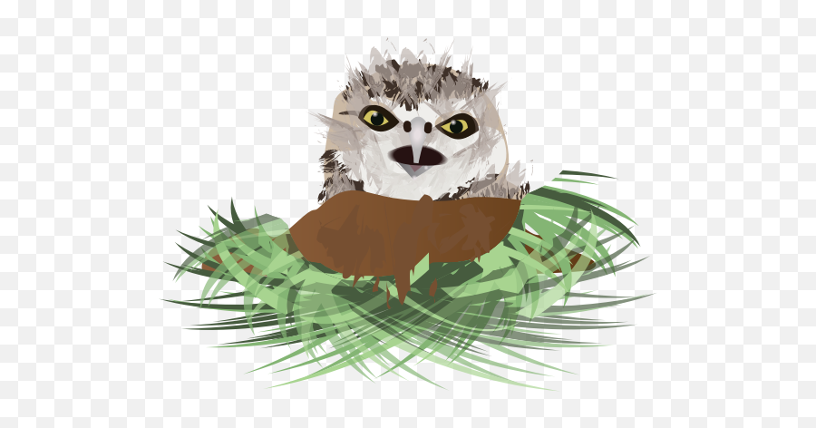 Vector Drawing Of Burrowing Owl In Its - Burrowing Owl Emoji,Owl Emoji Apple