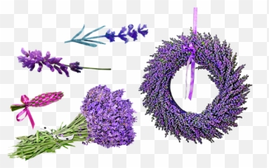 100 Free Lavender u0026 Purple Illustrations - Pixabay Emoji