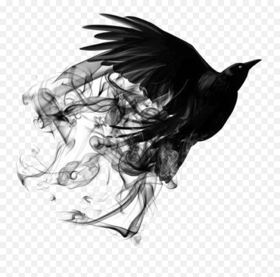 Mira - Black Smoke Bird Png Emoji,Sunset Bird Emoji
