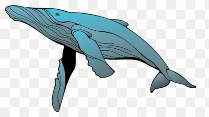 Free Whale Ocean Illustrations - Humpback Clipart Emoji