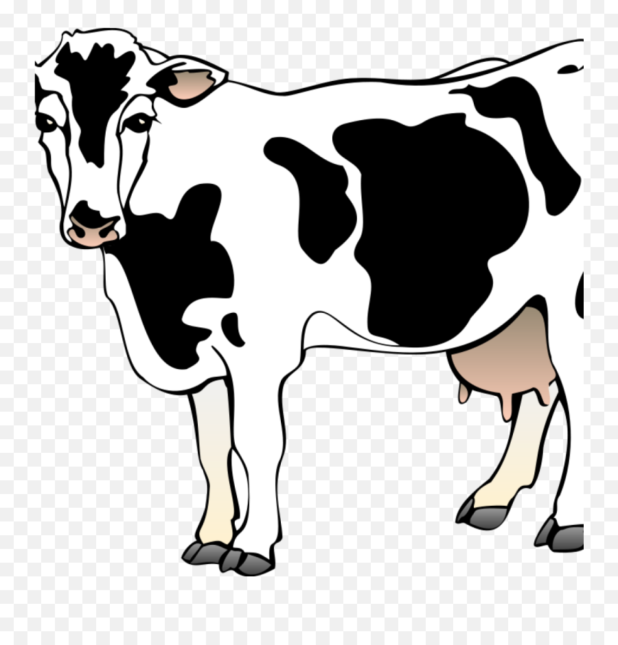 Clipart Panda Cow Transparent - Cartoon Drawing Of A Cow Emoji,Money And Cow Emoji